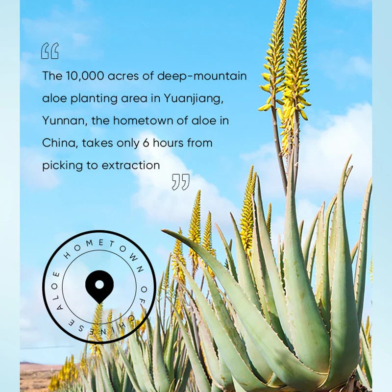 Nourishing Aloe Hand Cream