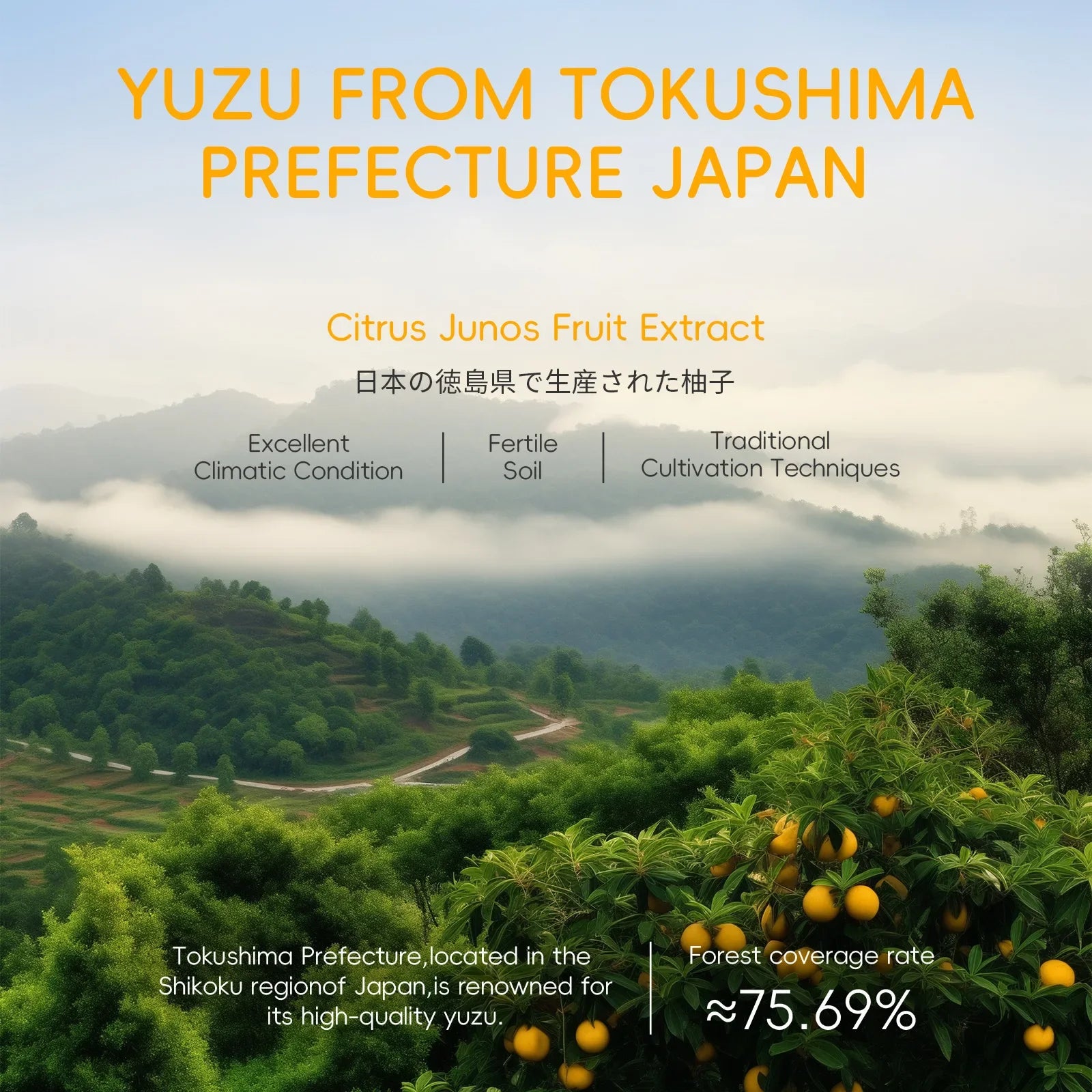 Grapefruit Yuzu Face Essence