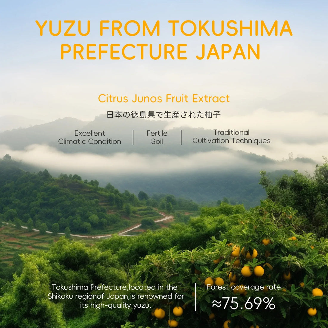 Grapefruit Yuzu Face Essence