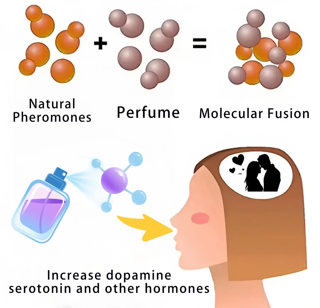 Women Pheromone Attraction Perfume